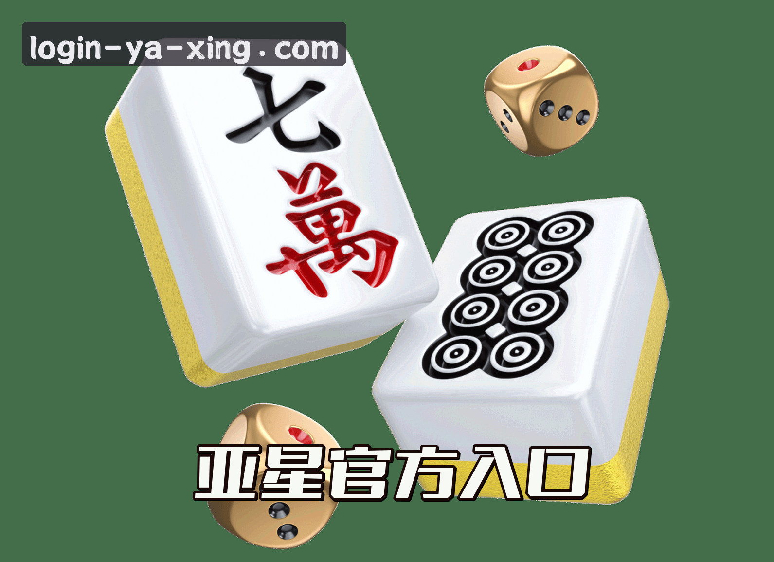 关于我们关于我们信息